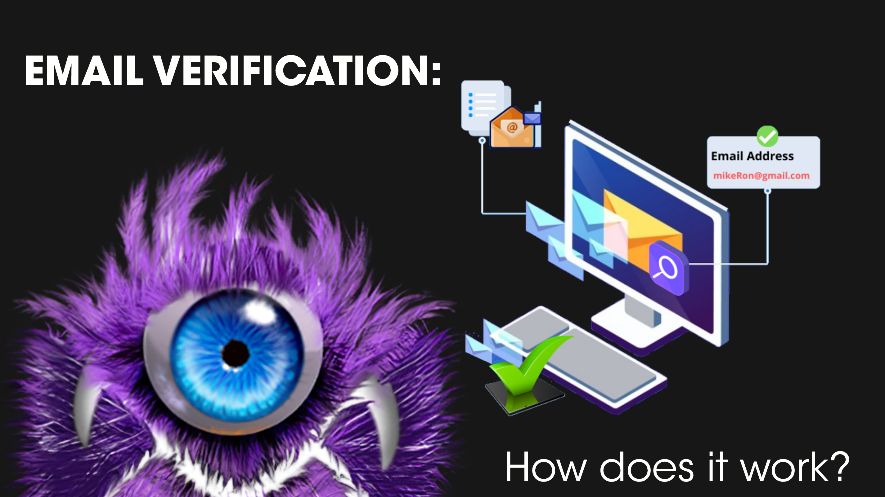 email verification Email-marketing